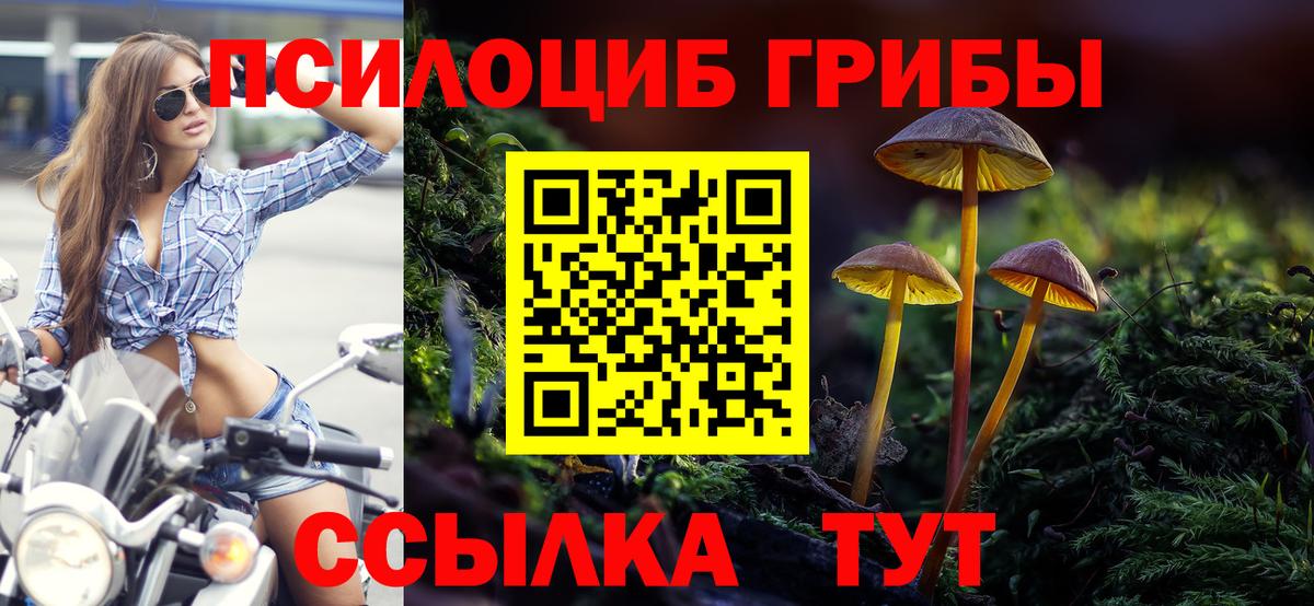 Псилоцибиновые грибы MAGIC MUSHROOMS Новокубанск