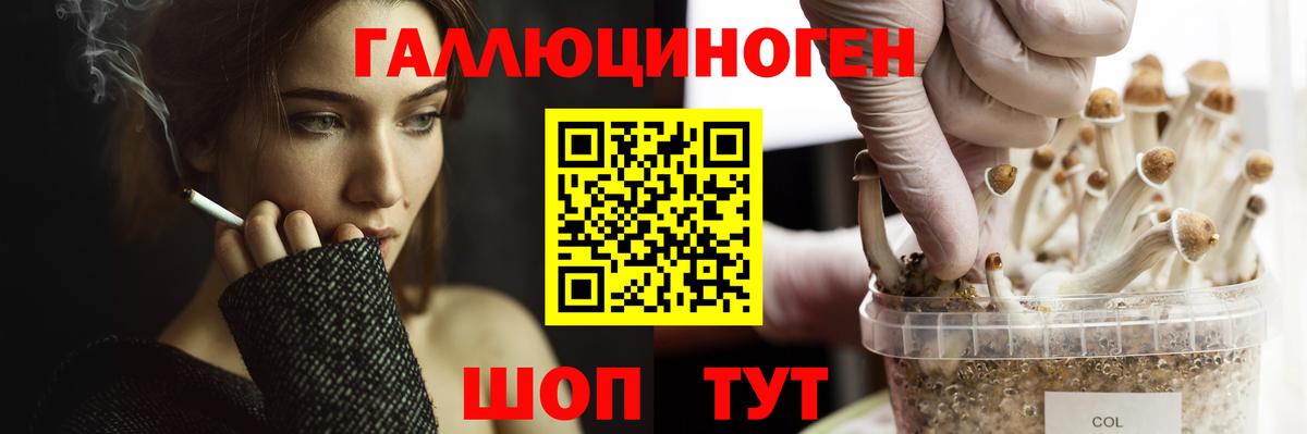 Новокубанск  Псилоцибиновые грибы прущие грибы  Вход с VPN 