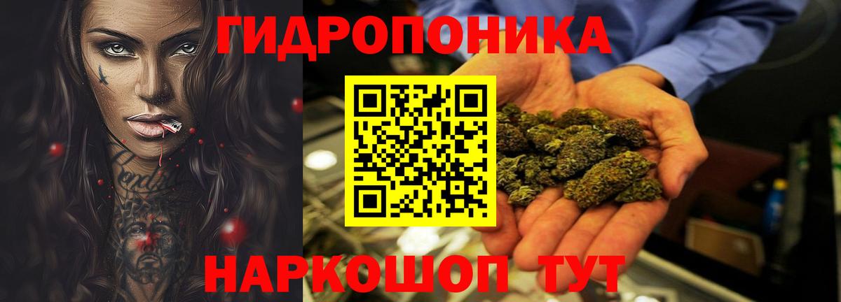 Бошки Шишки конопля  Бошки Шишки SATIVA & INDICA  Новокубанск  Вход с VPN 